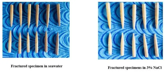 Corrosion Fatigue Analysis Result