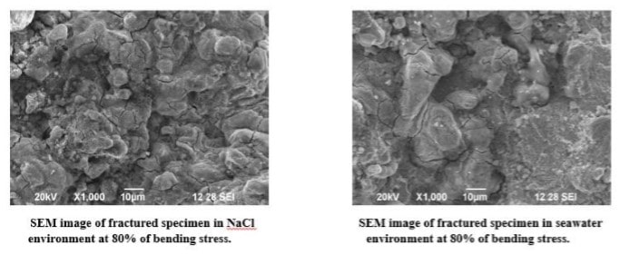 SEM Results